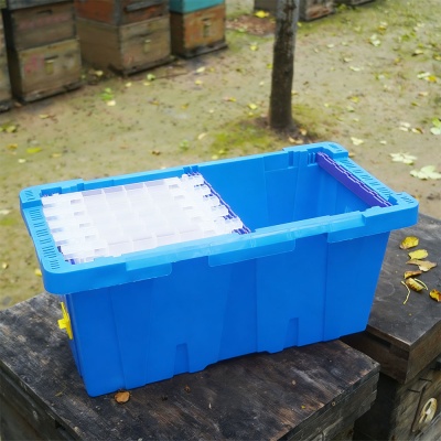 bee_transport_box-_39