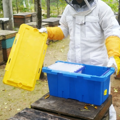 bee_transport_box-_40