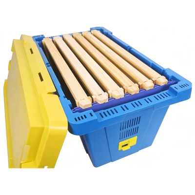 bee_transport_box_2