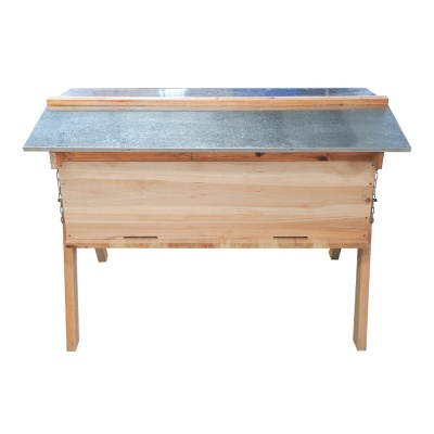 long_langstroth_top_bar_hive_10